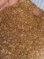 Tutun la Pungă Vrac 1kg